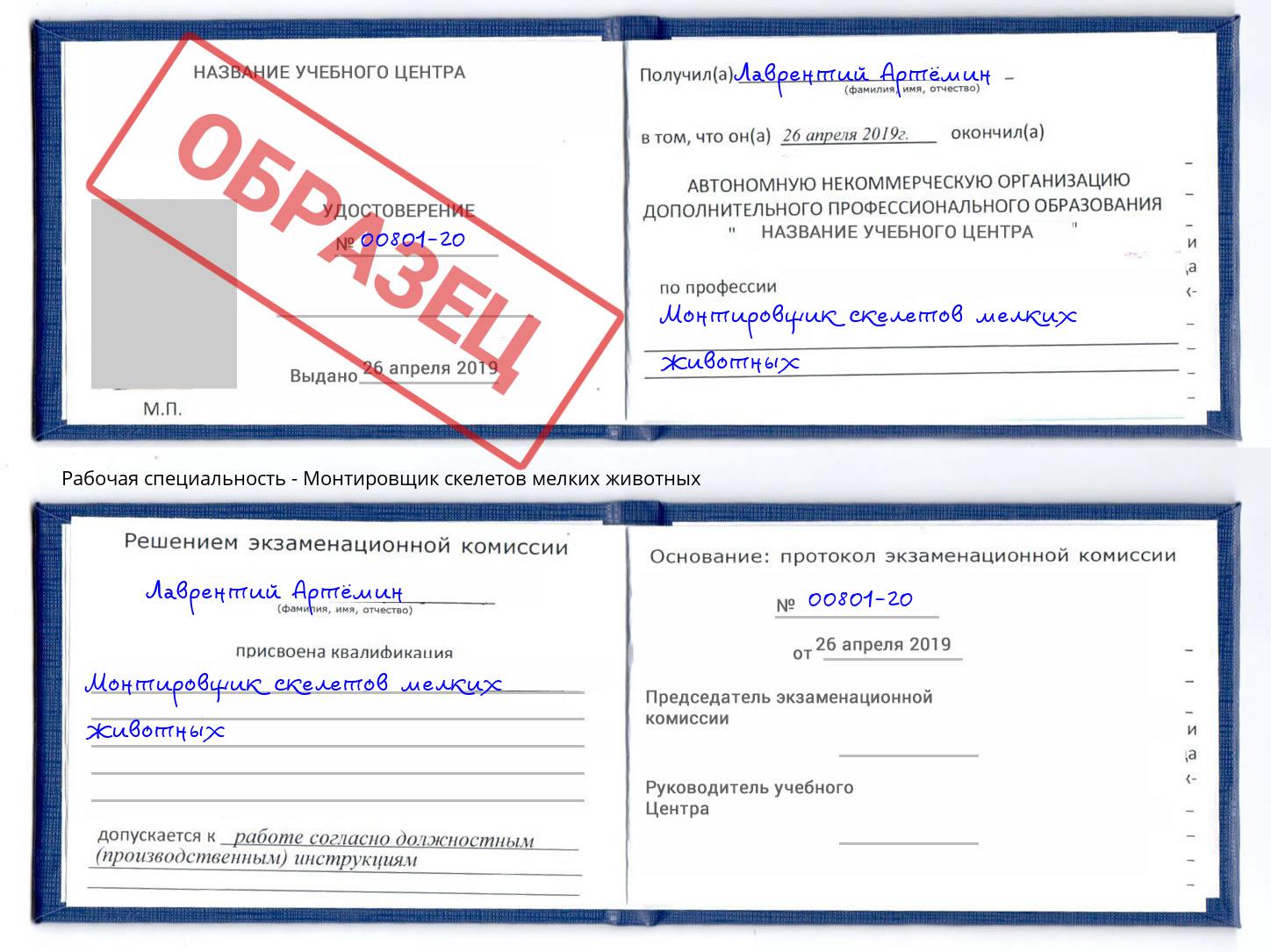 Монтировщик скелетов мелких животных Будённовск