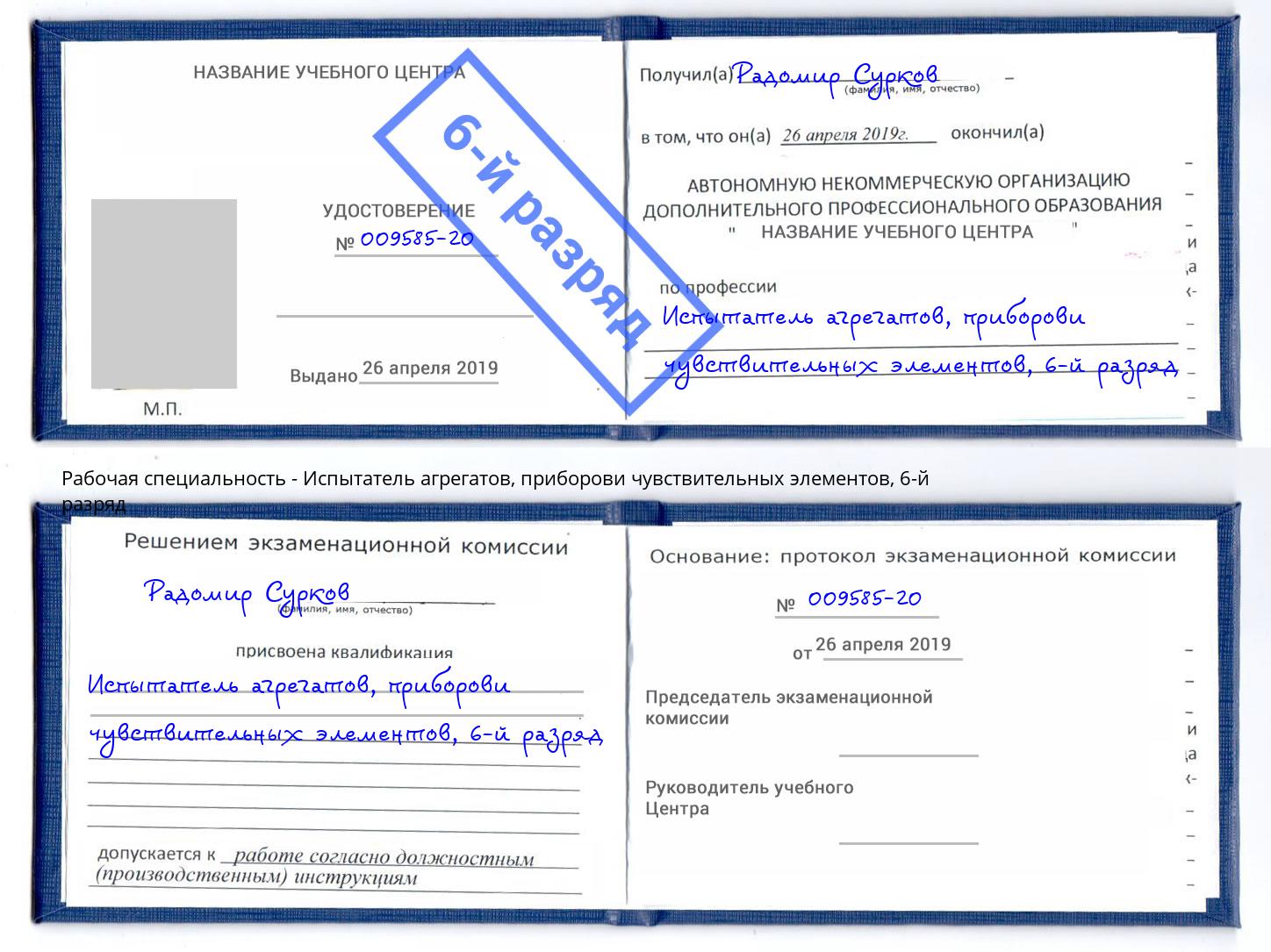 корочка 6-й разряд Испытатель агрегатов, приборови чувствительных элементов Будённовск