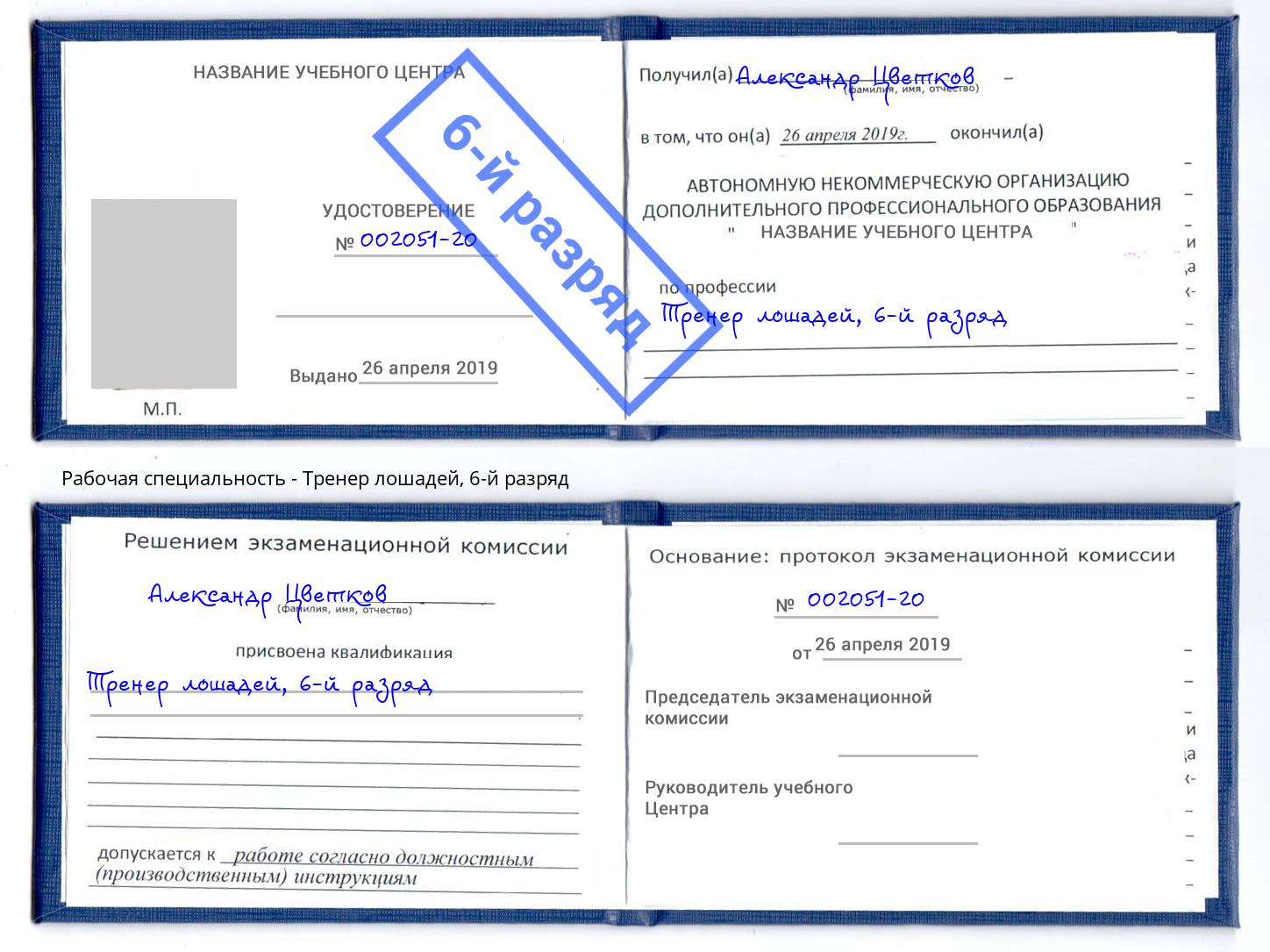 корочка 6-й разряд Тренер лошадей Будённовск