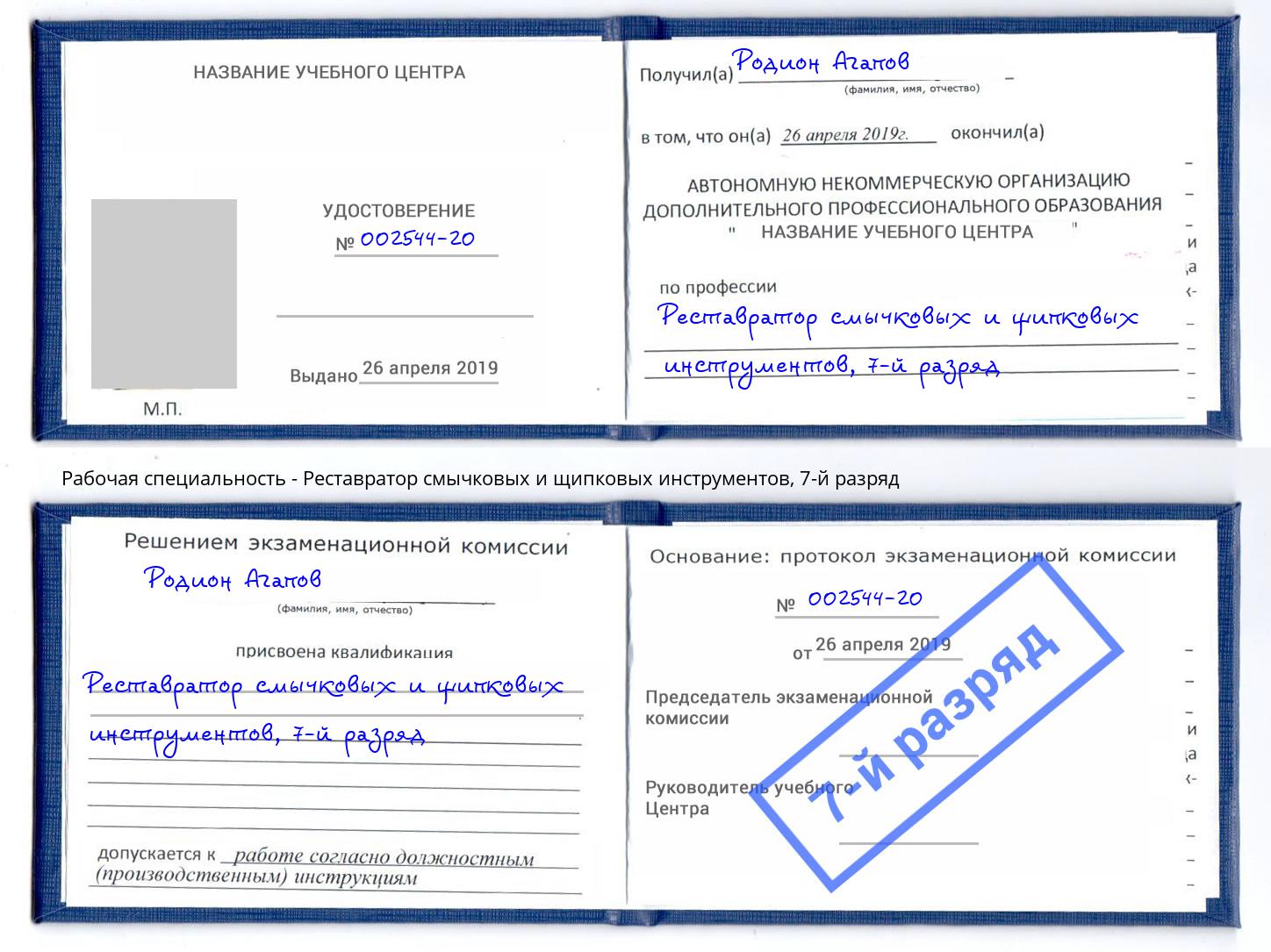 корочка 7-й разряд Реставратор смычковых и щипковых инструментов Будённовск