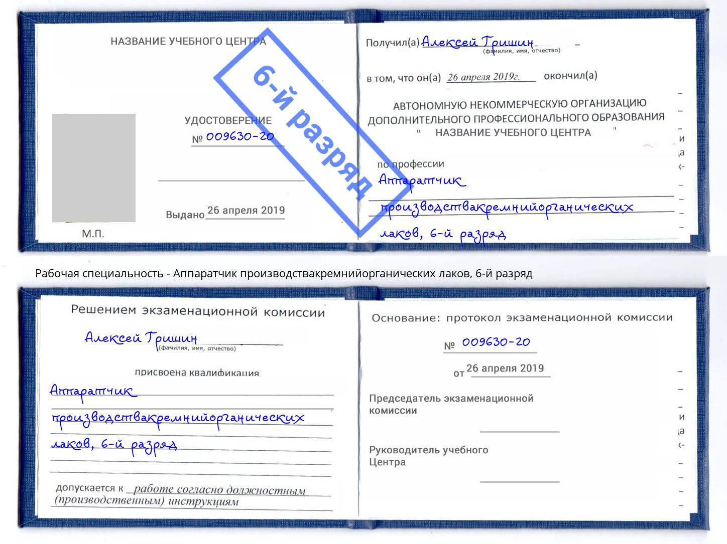 корочка 6-й разряд Аппаратчик производствакремнийорганических лаков Будённовск