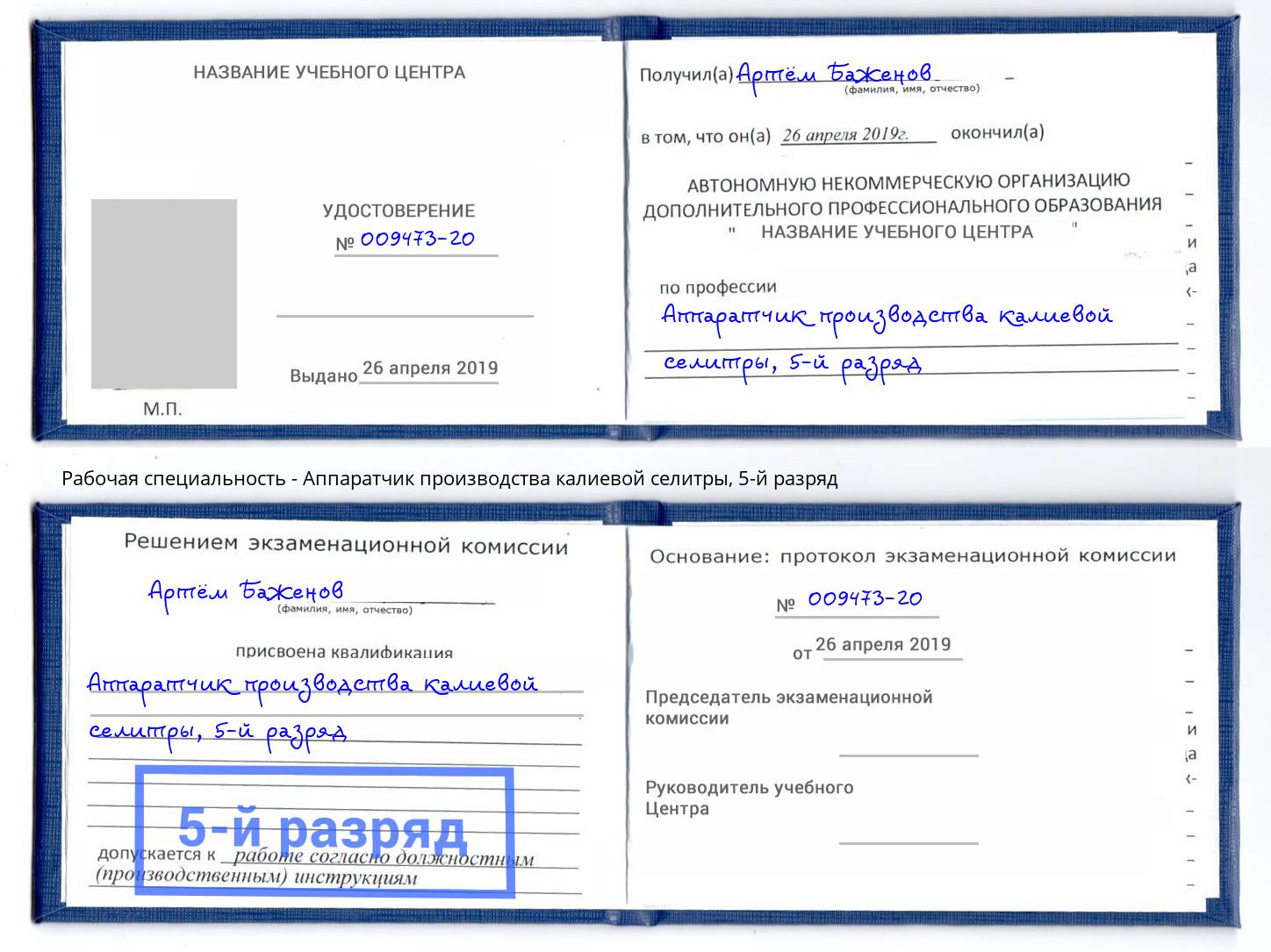 корочка 5-й разряд Аппаратчик производства калиевой селитры Будённовск